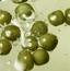 Organic Seeds Green Peas Shampoo Scalp Care